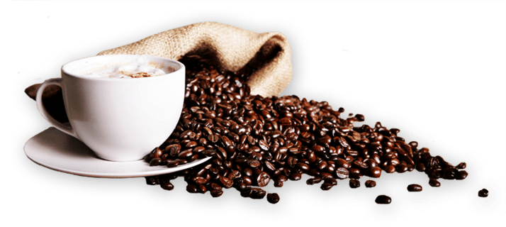 Coffee Lab photo 5