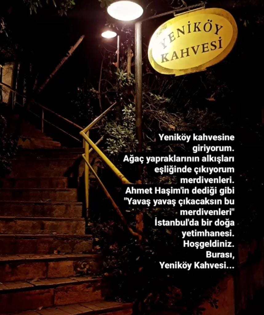 Yenıköy Kahvesı