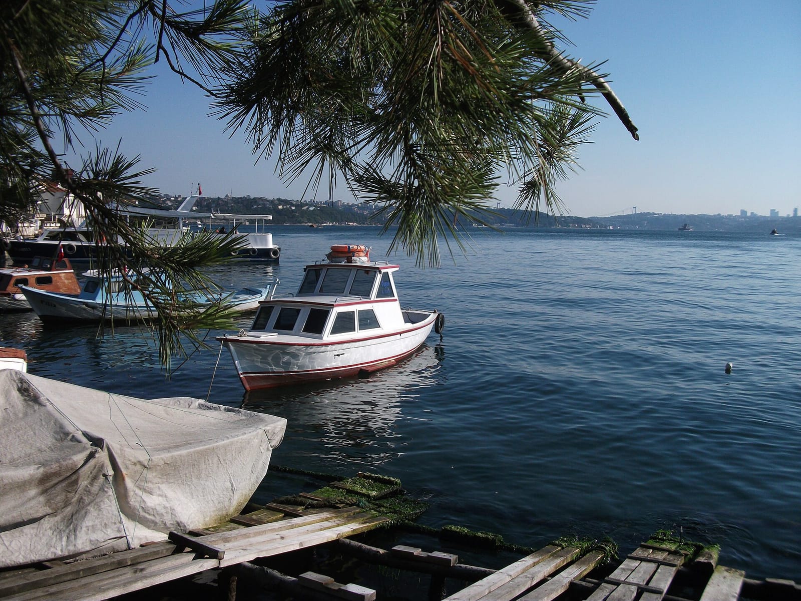 İskele Cafe Beykoz photo 3