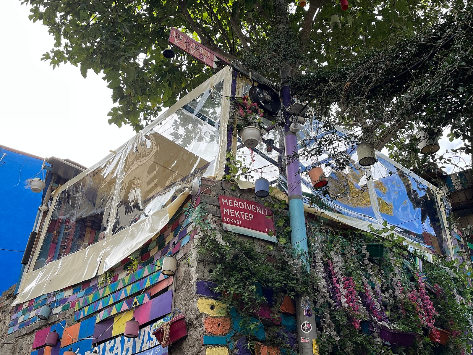 Kaffa Miro photo 4