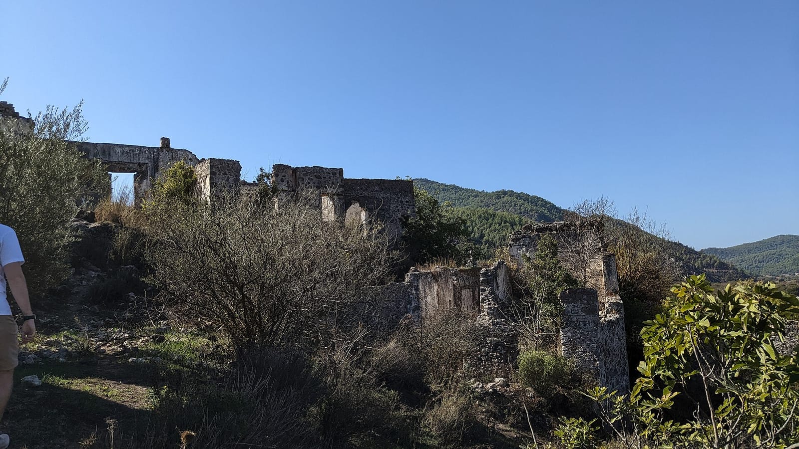 Kaya Köy Sofrası photo 2