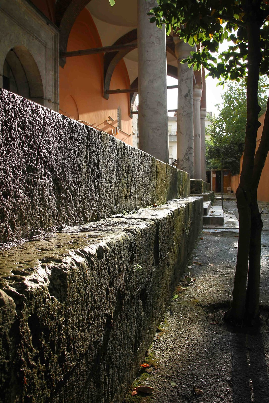 Nevmekan Sahil photo 4