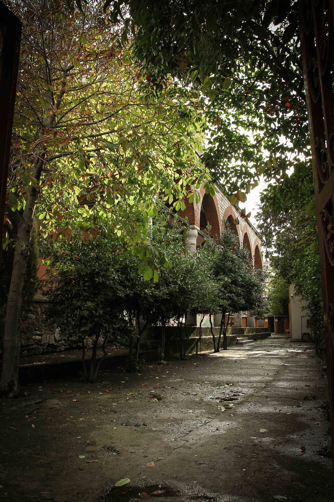 Nevmekan Sahil photo 3