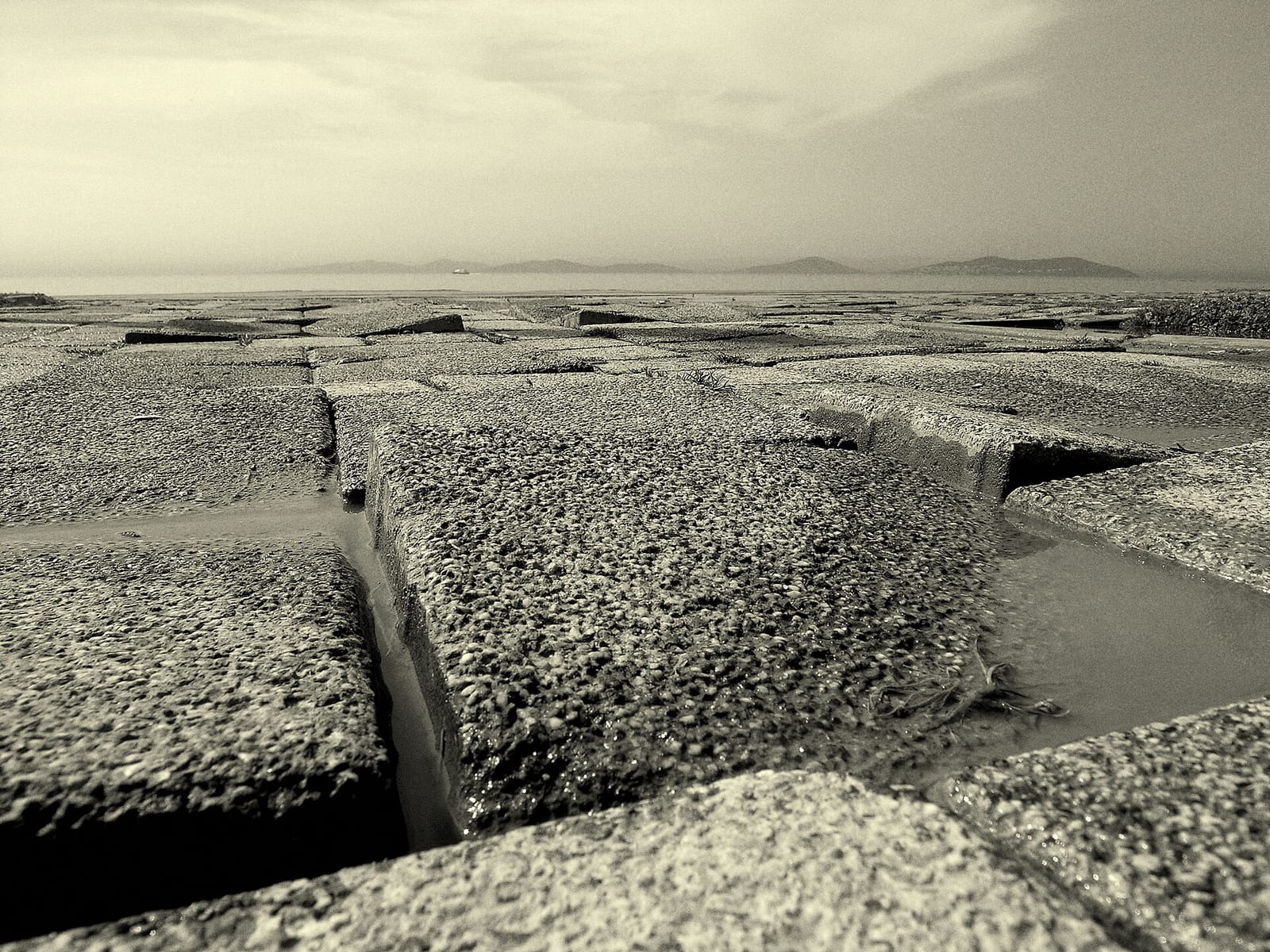 Beltur Caddebostan Sahil Kafe photo 3