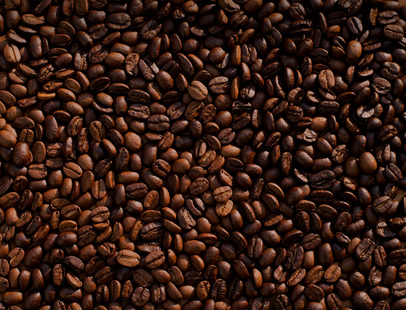 Arabica Coffee House