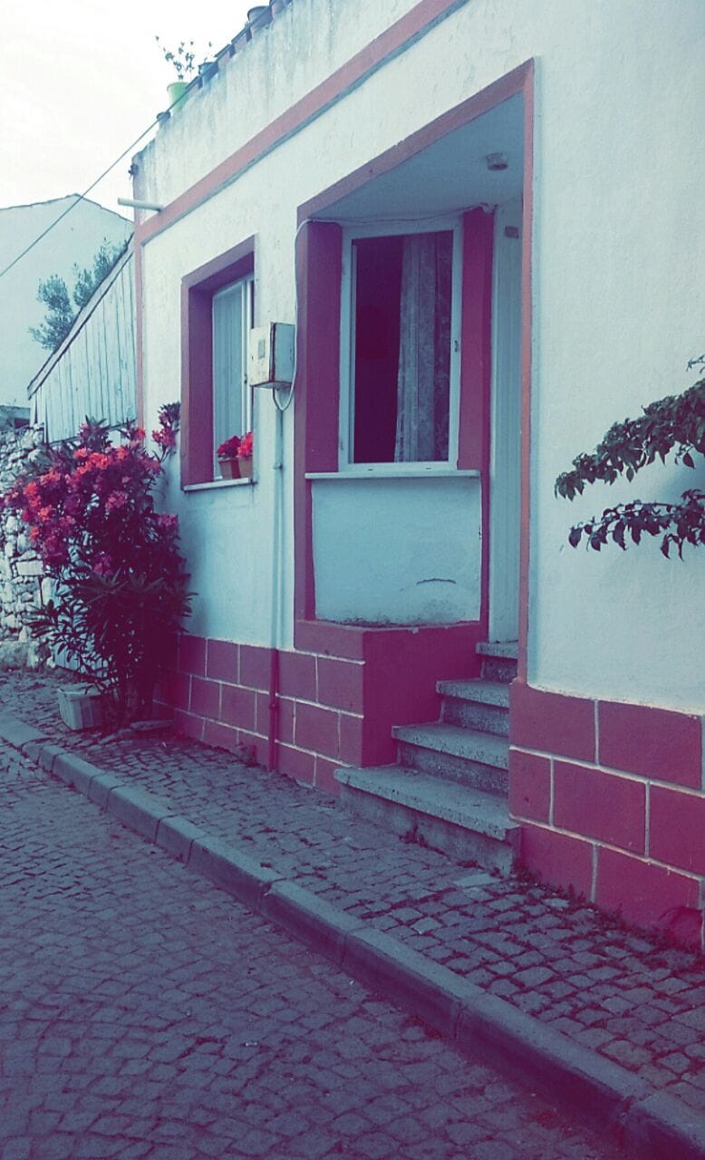 Uva Bozcaada photo 2