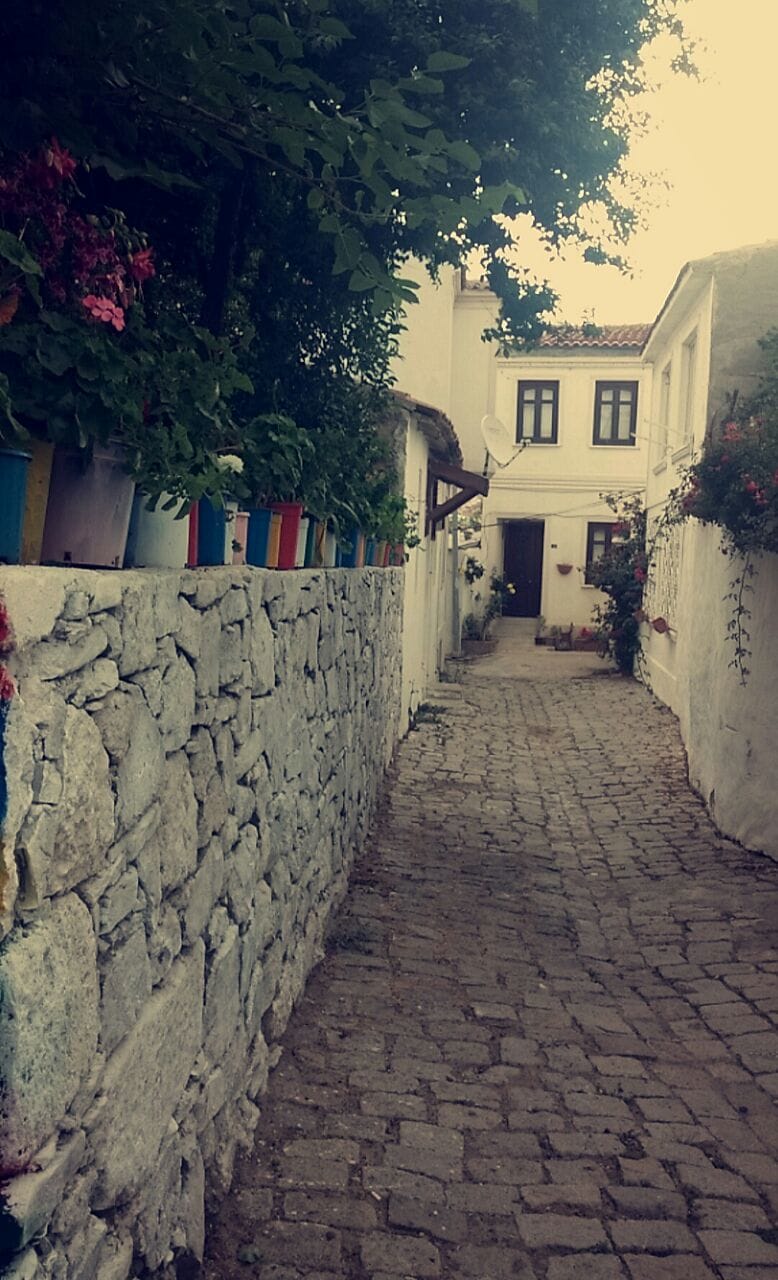 Uva Bozcaada photo 3