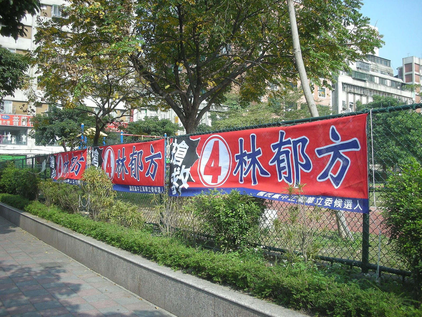 50嵐 photo 4