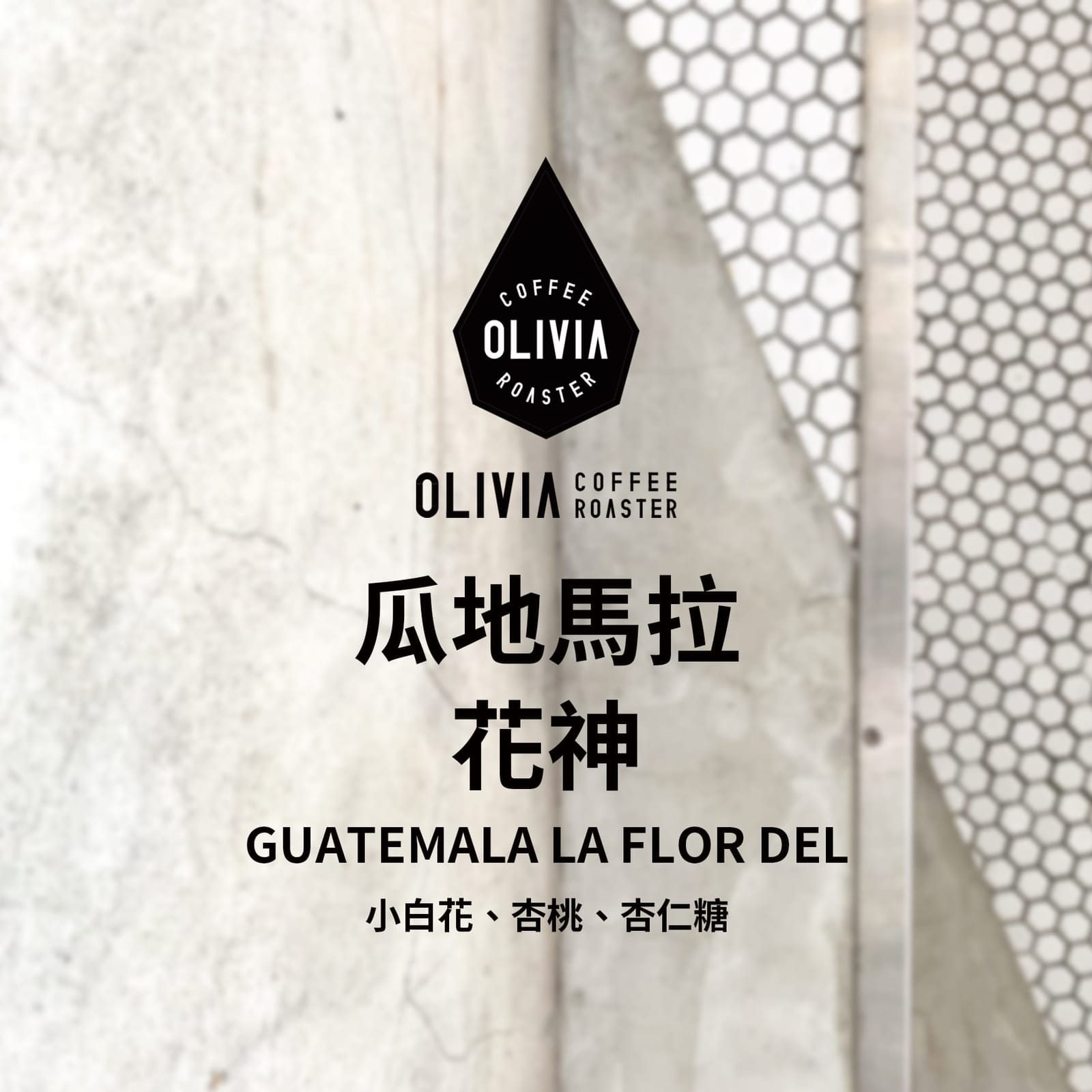 Coffee Olivia Roaster photo 6