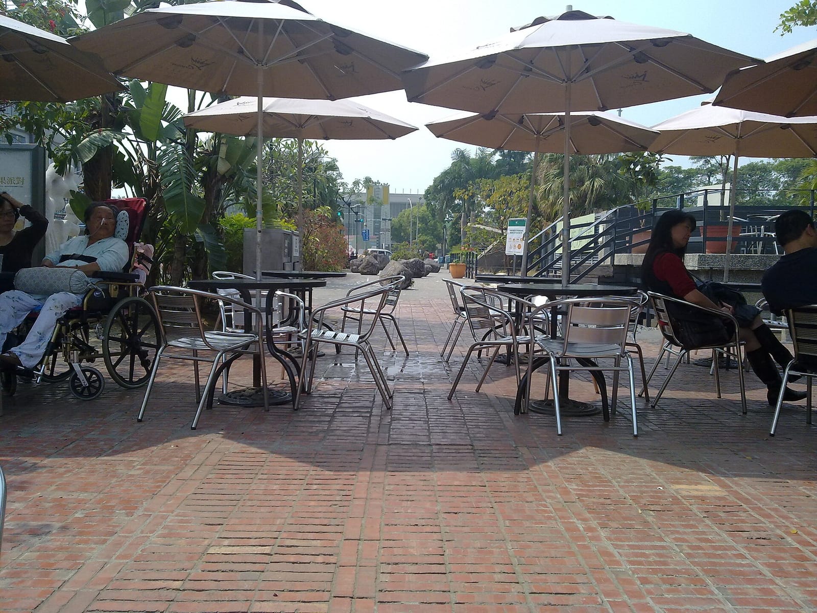 Café de Homer photo 2