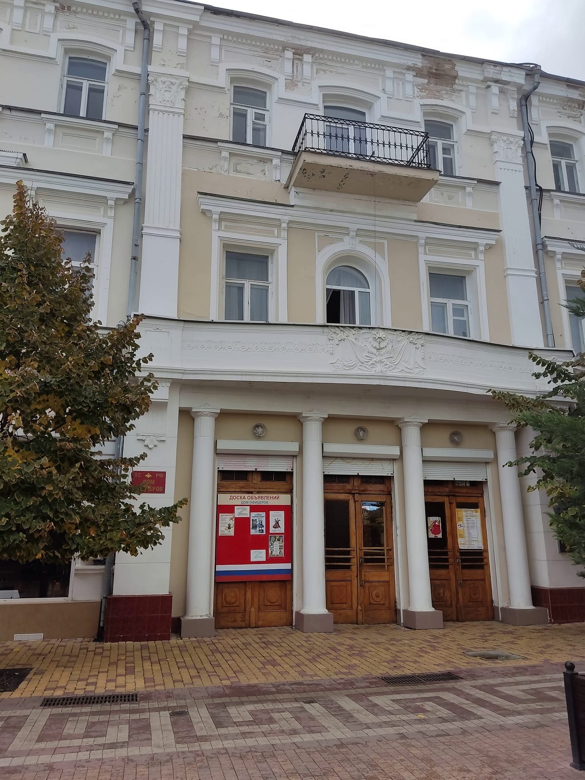 Kofein photo 3