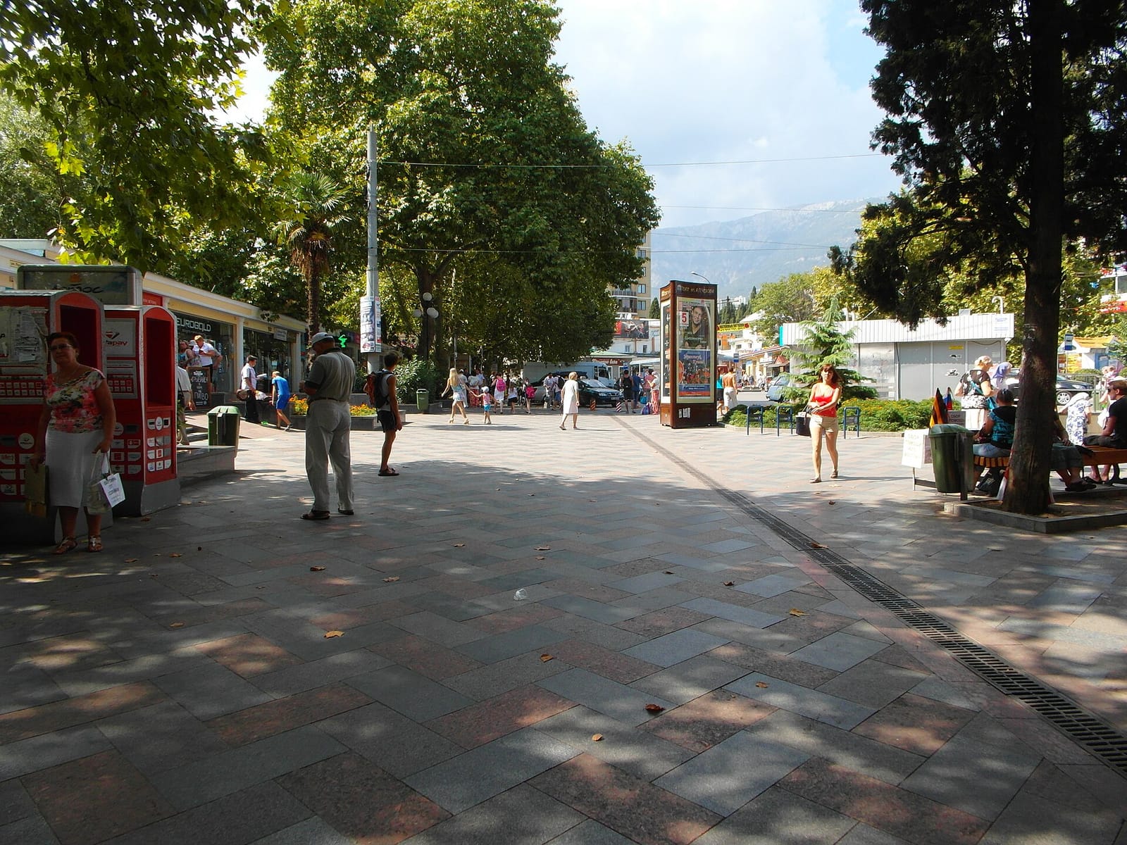 Kofein photo 3