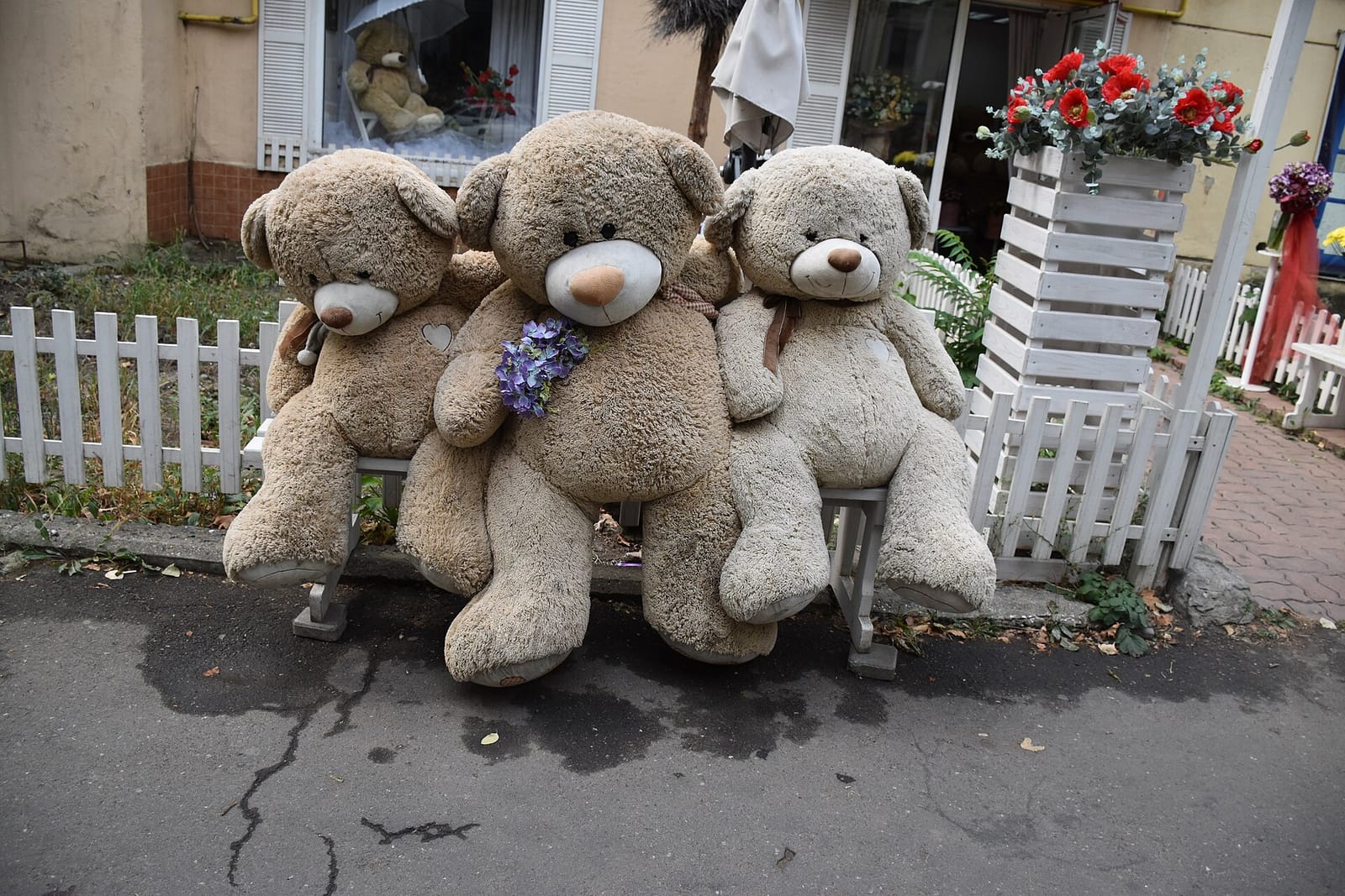 Belleville photo 3
