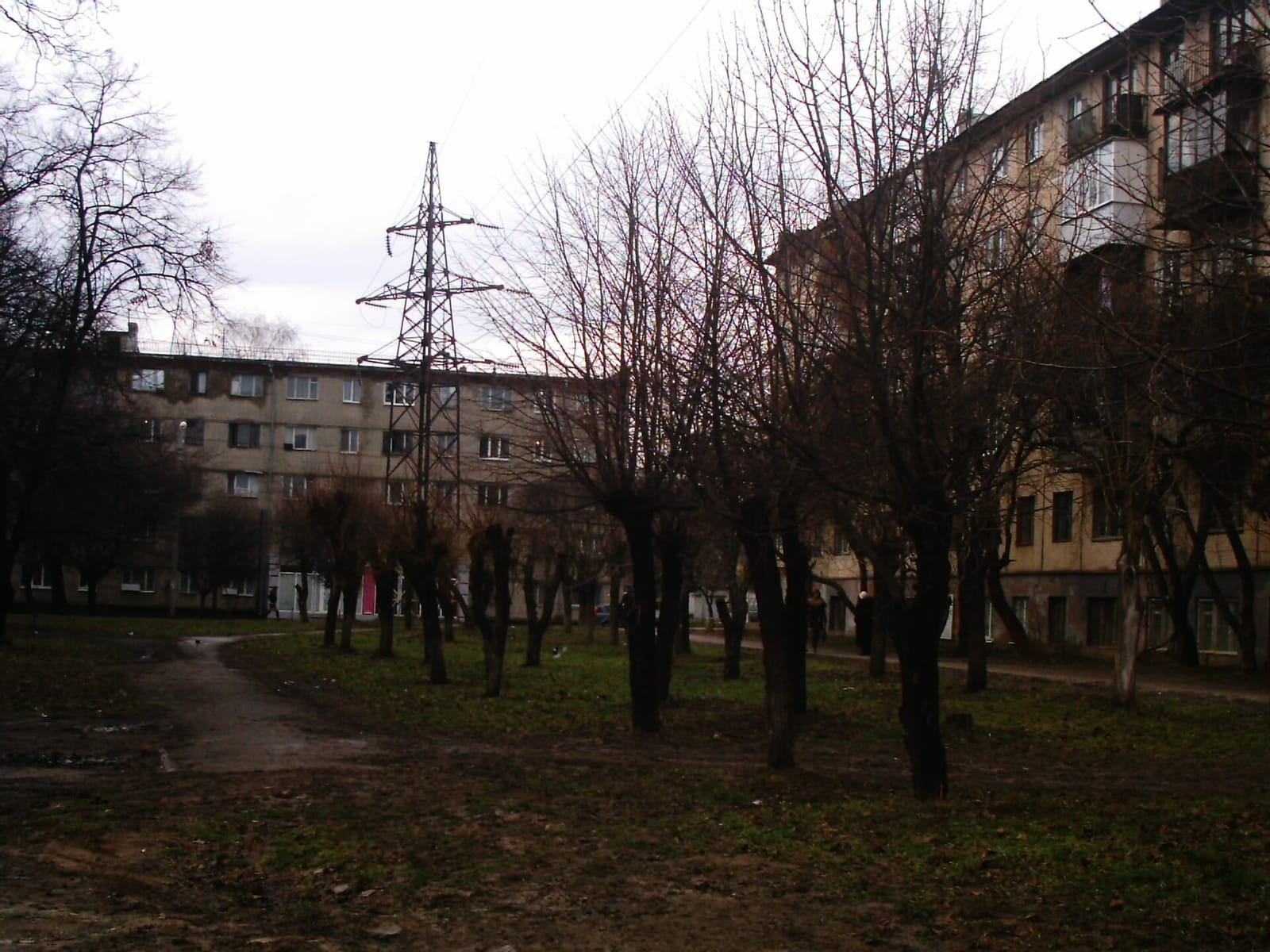 PanAzia photo 2