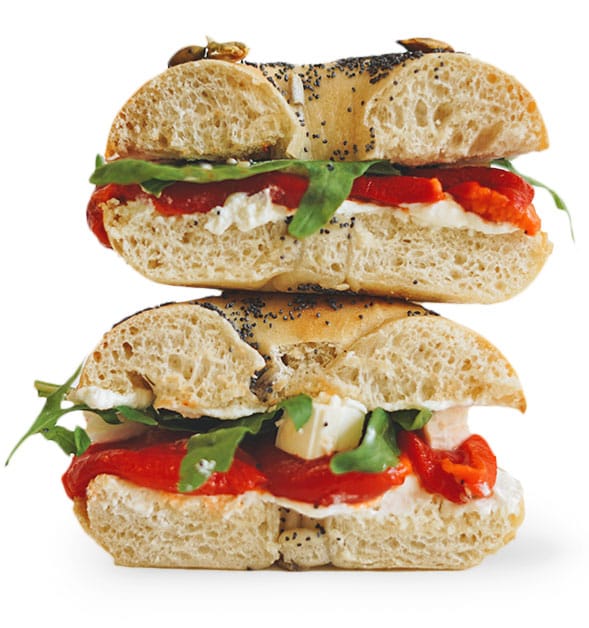 The BAGEL photo 4