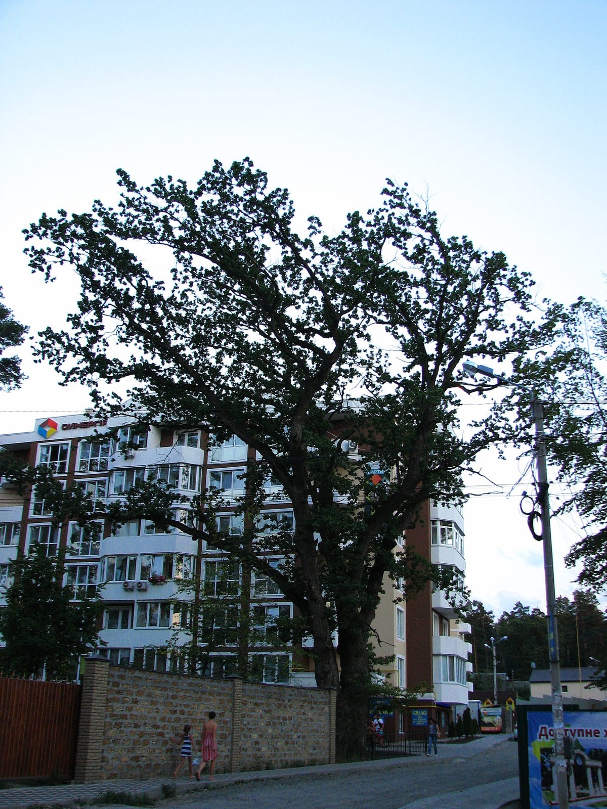 Кав'ярня VERANDA photo 4