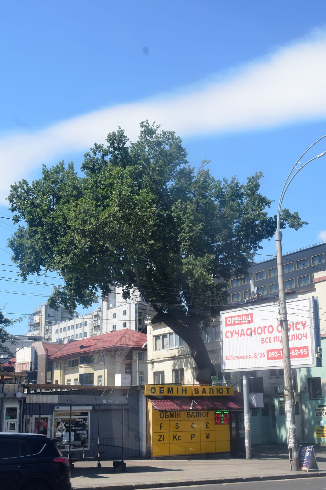 Sharma sweets Indian cafe photo 3