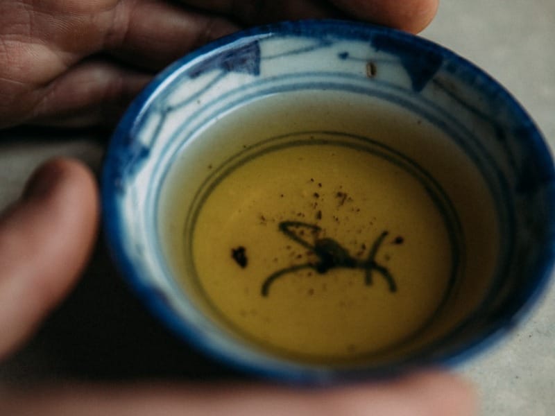 One Tea Tree photo 3
