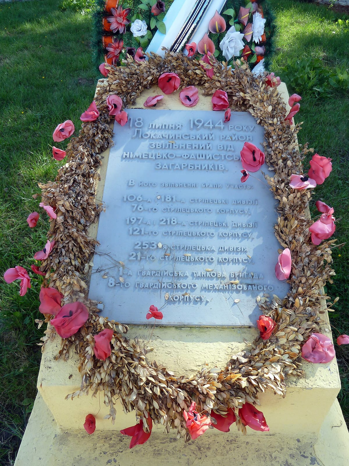 Kava Plus photo 3