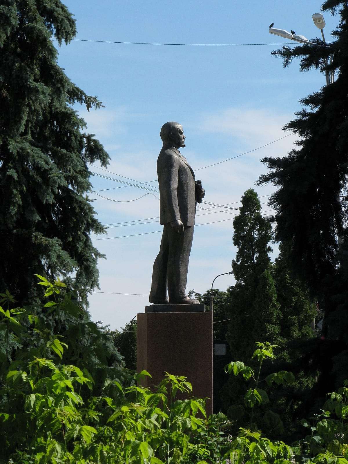 Way photo 4