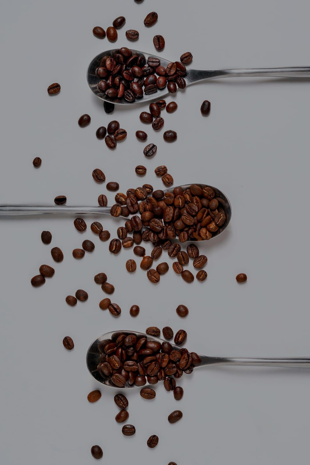 MY Coffee Roastery photo 3