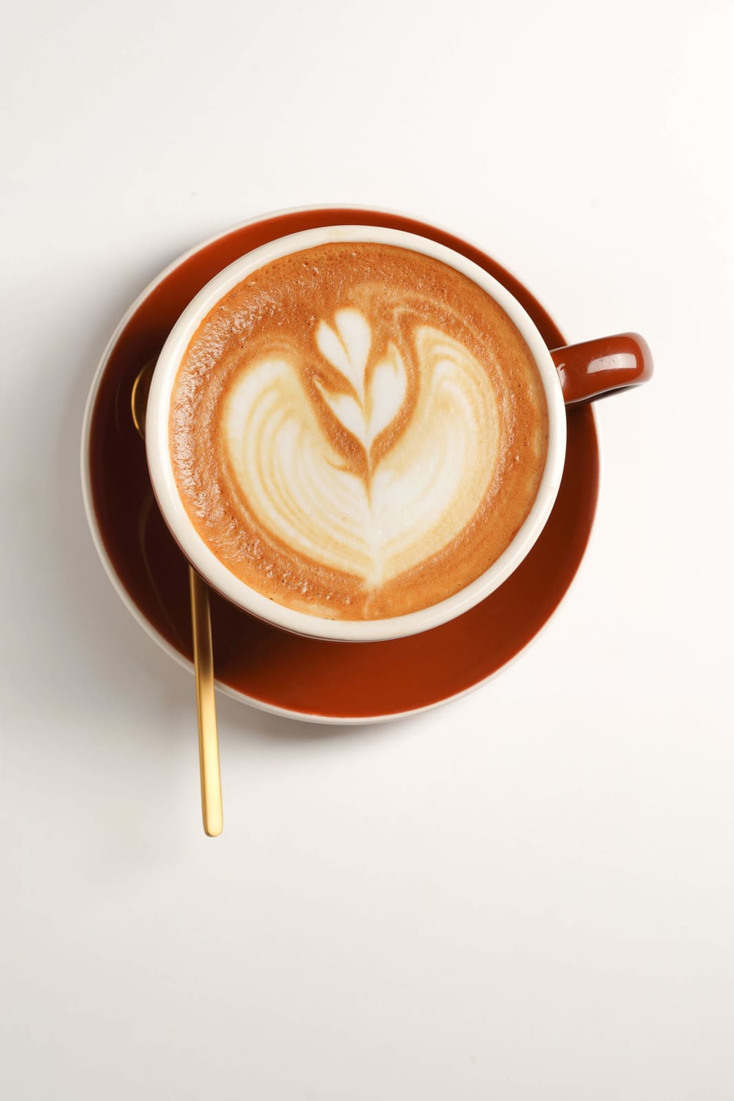 MY Coffee Roastery photo 2