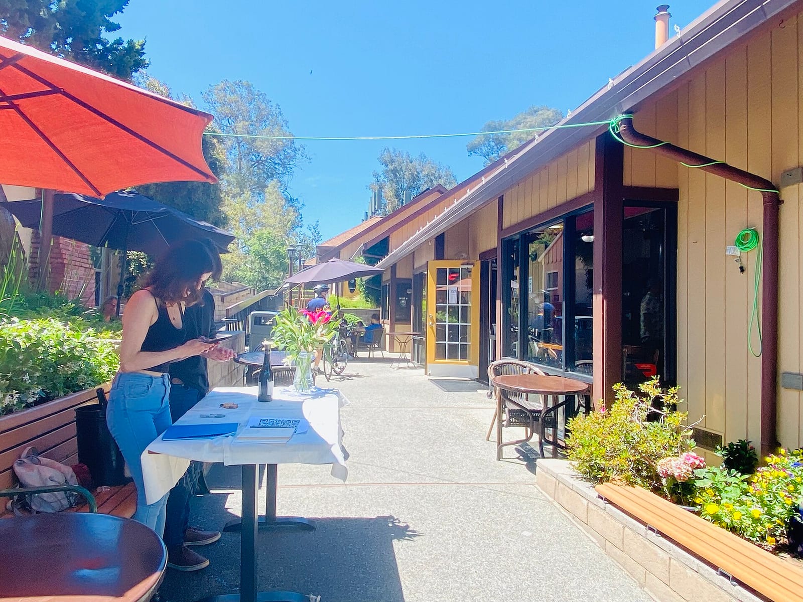 Big Basin Cafe photo 5