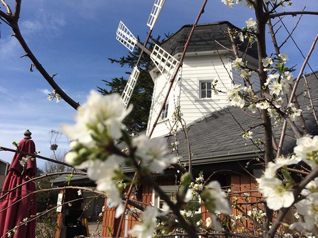 Windmill Café photo 2