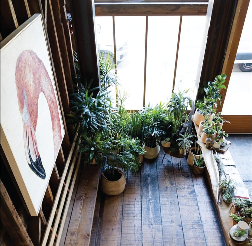 Stable Cafe photo 9