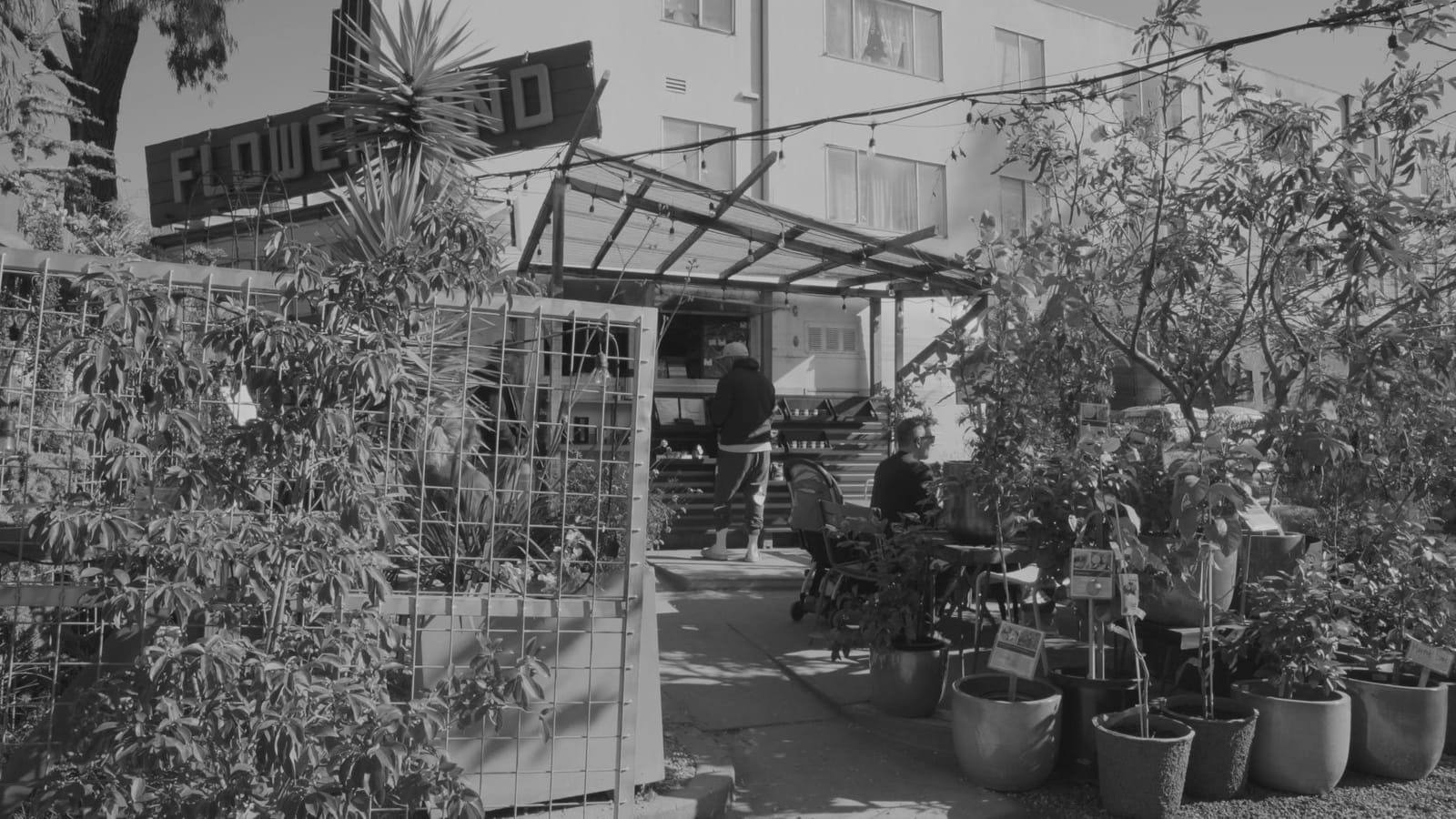 Highwire Coffee Roasters photo 3