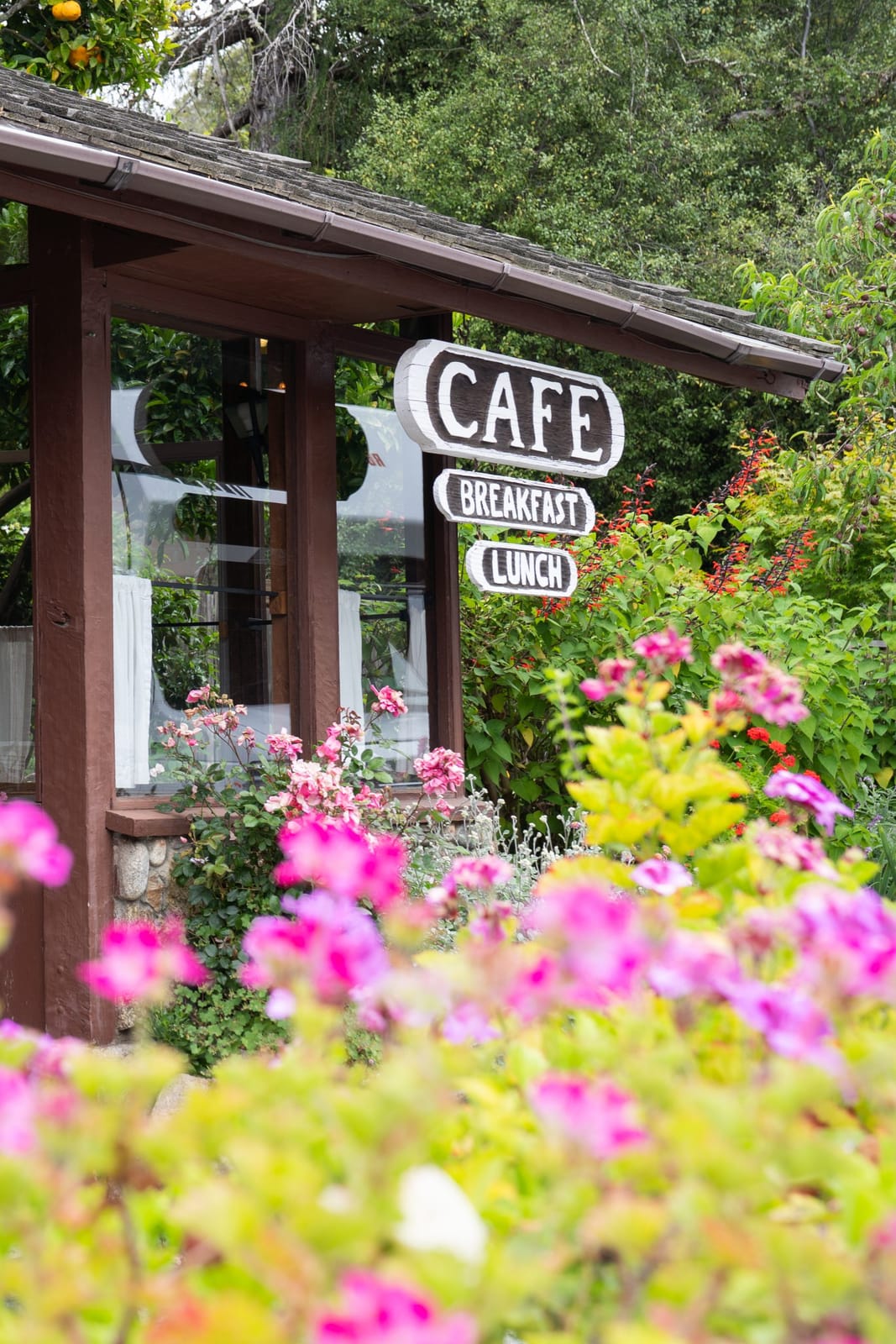 Ripplewood Cafe photo 4
