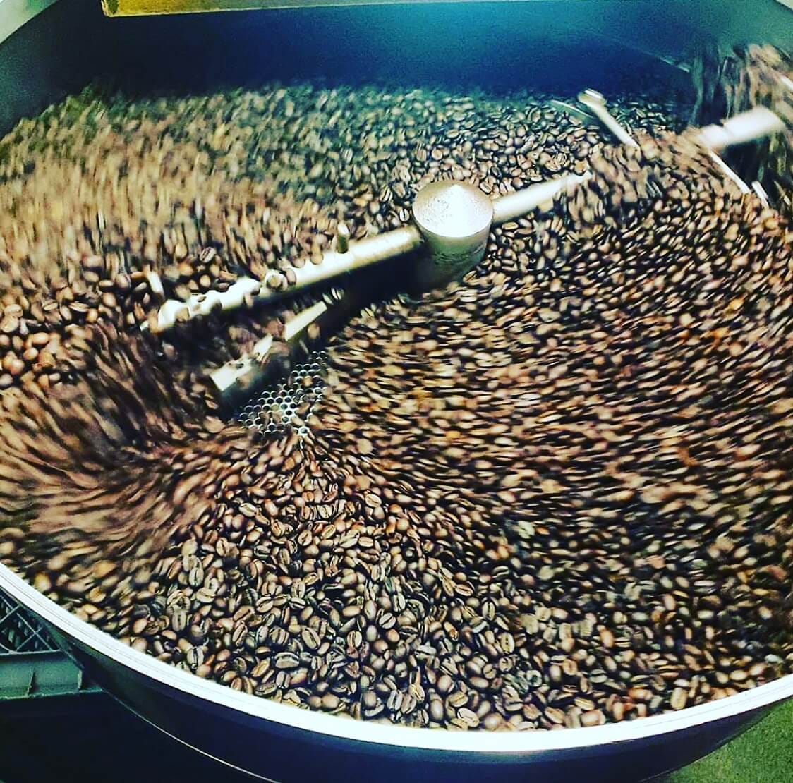 Great Bear Coffee photo 3
