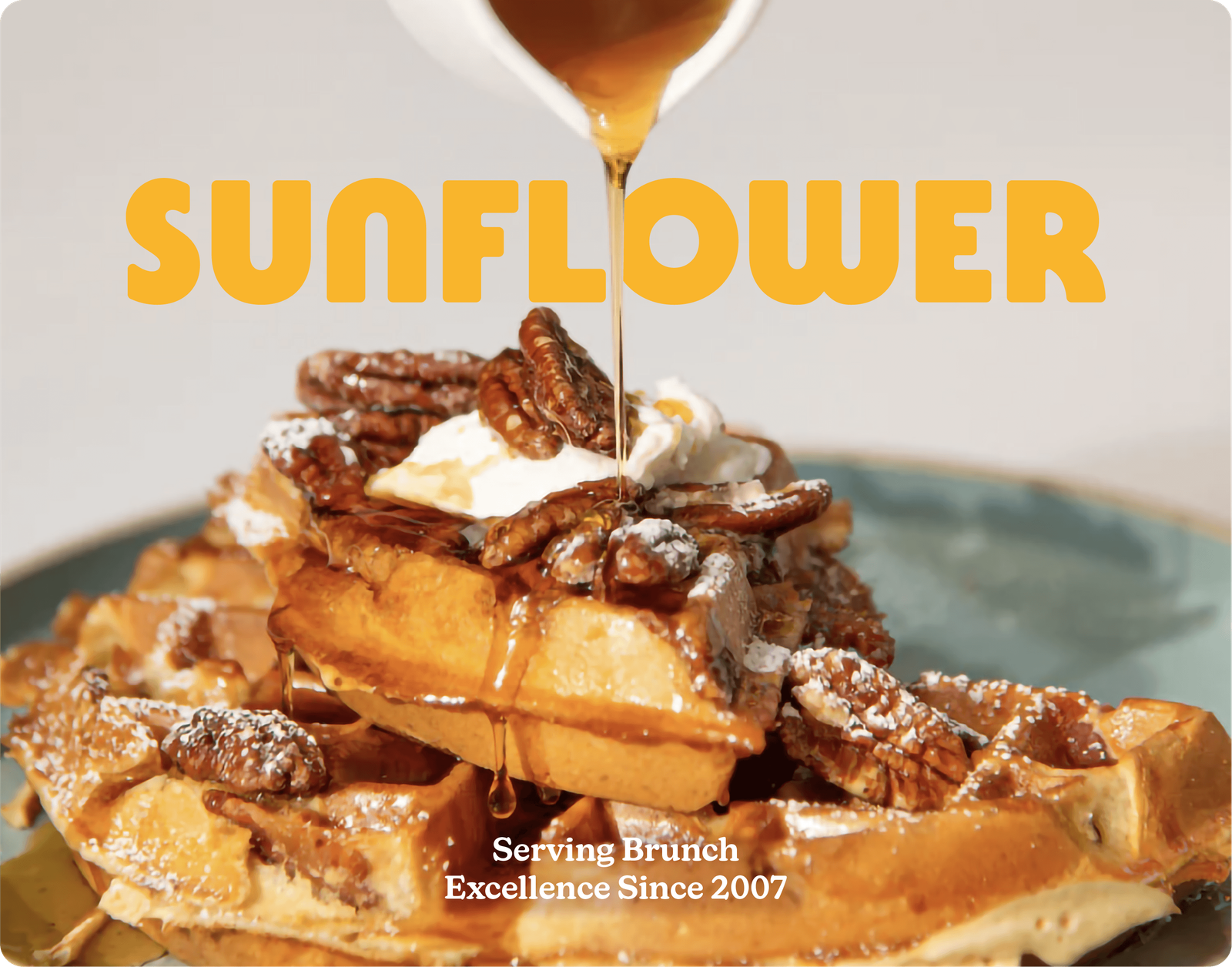 Sunflower Caffé photo 5