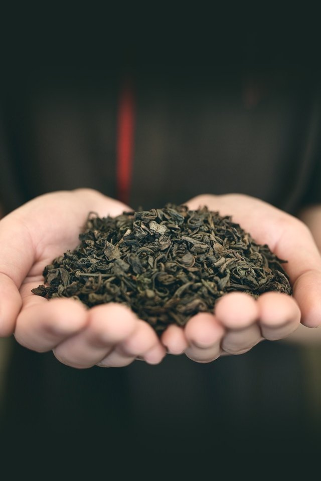 TP Tea photo 3