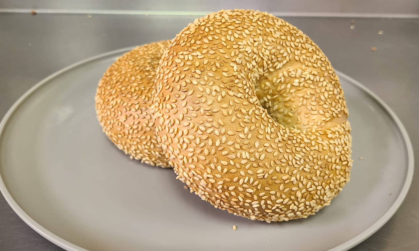 Daily Bagel Cafe photo 4