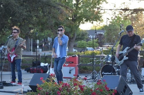 City Cup photo 8