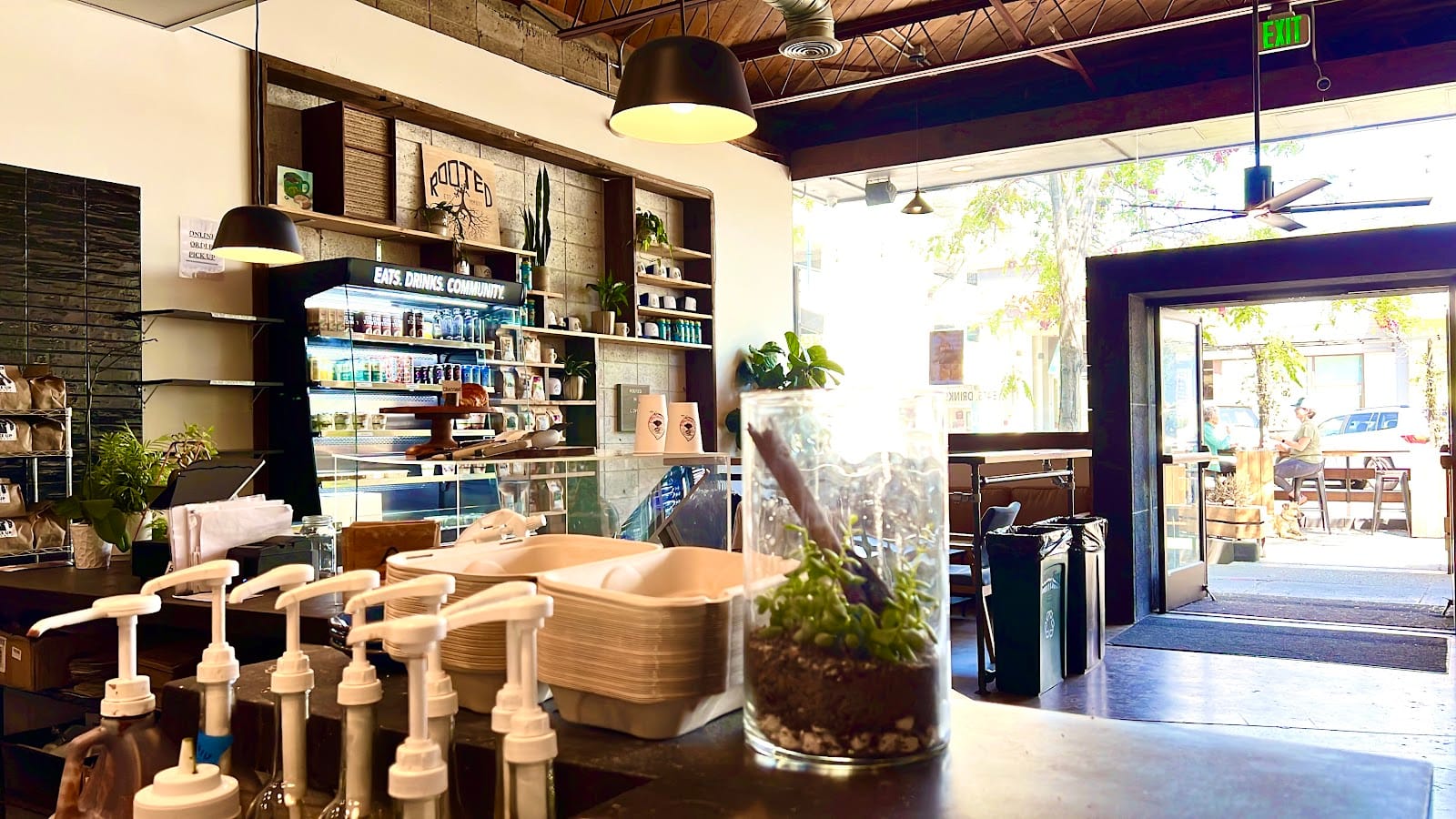 Rooted Coffee