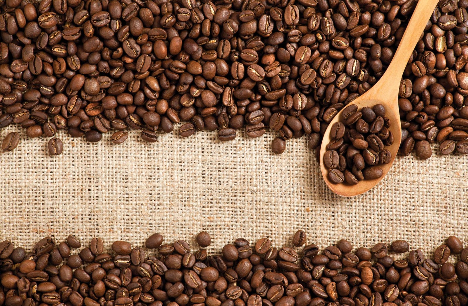 Dana Street Roasting Company photo 2