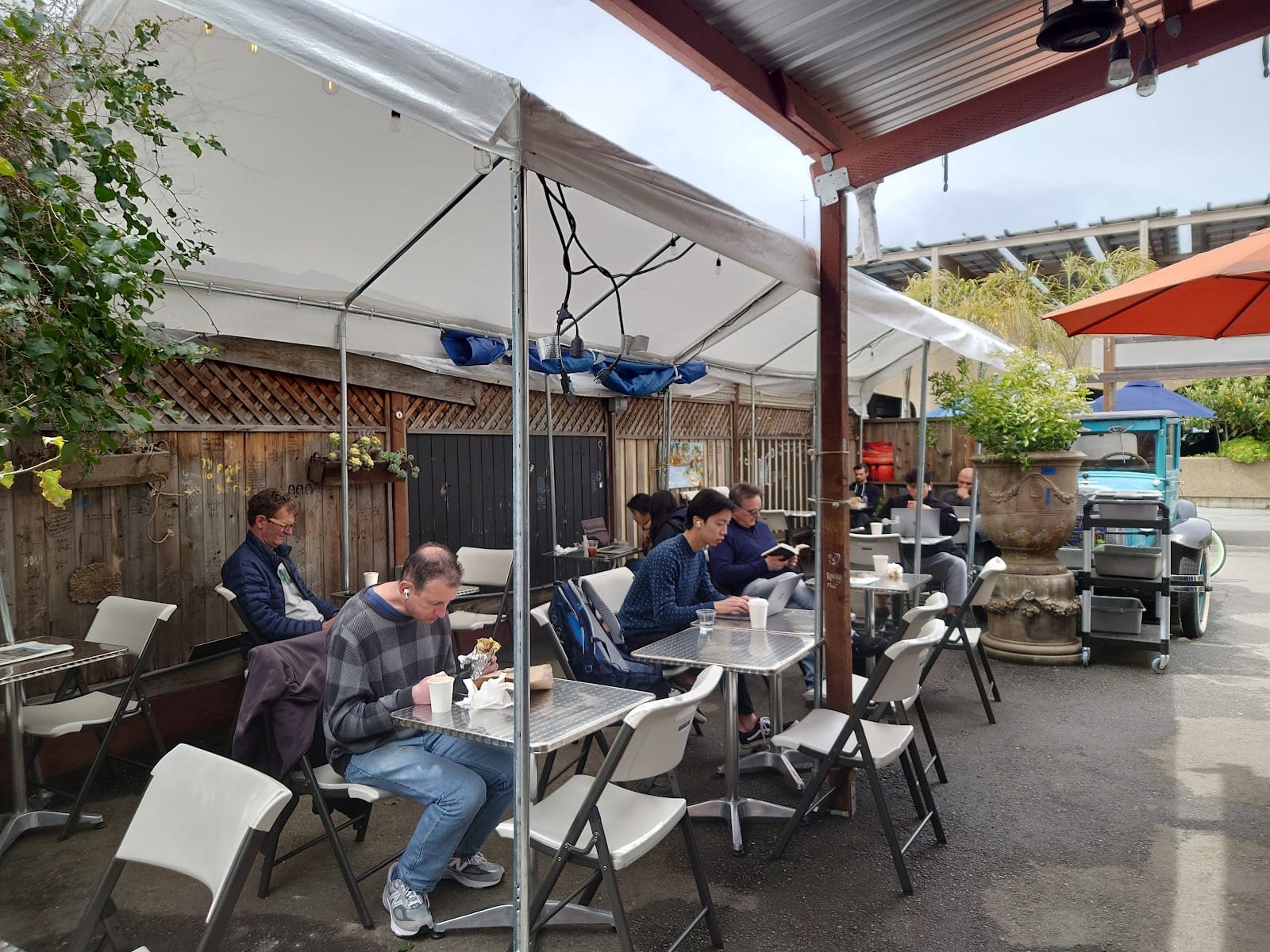 Backyard Brew