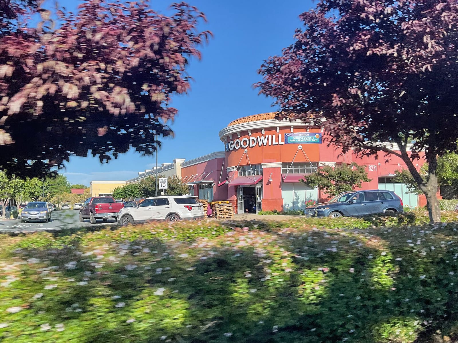 Starbucks photo 2