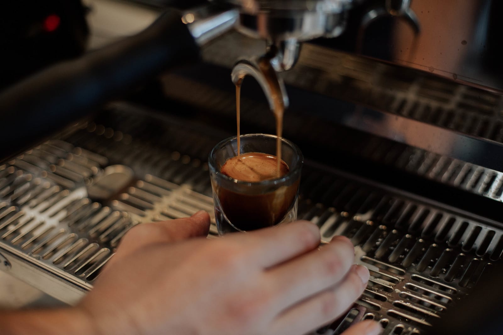 Bloom Coffee & Tea photo 8