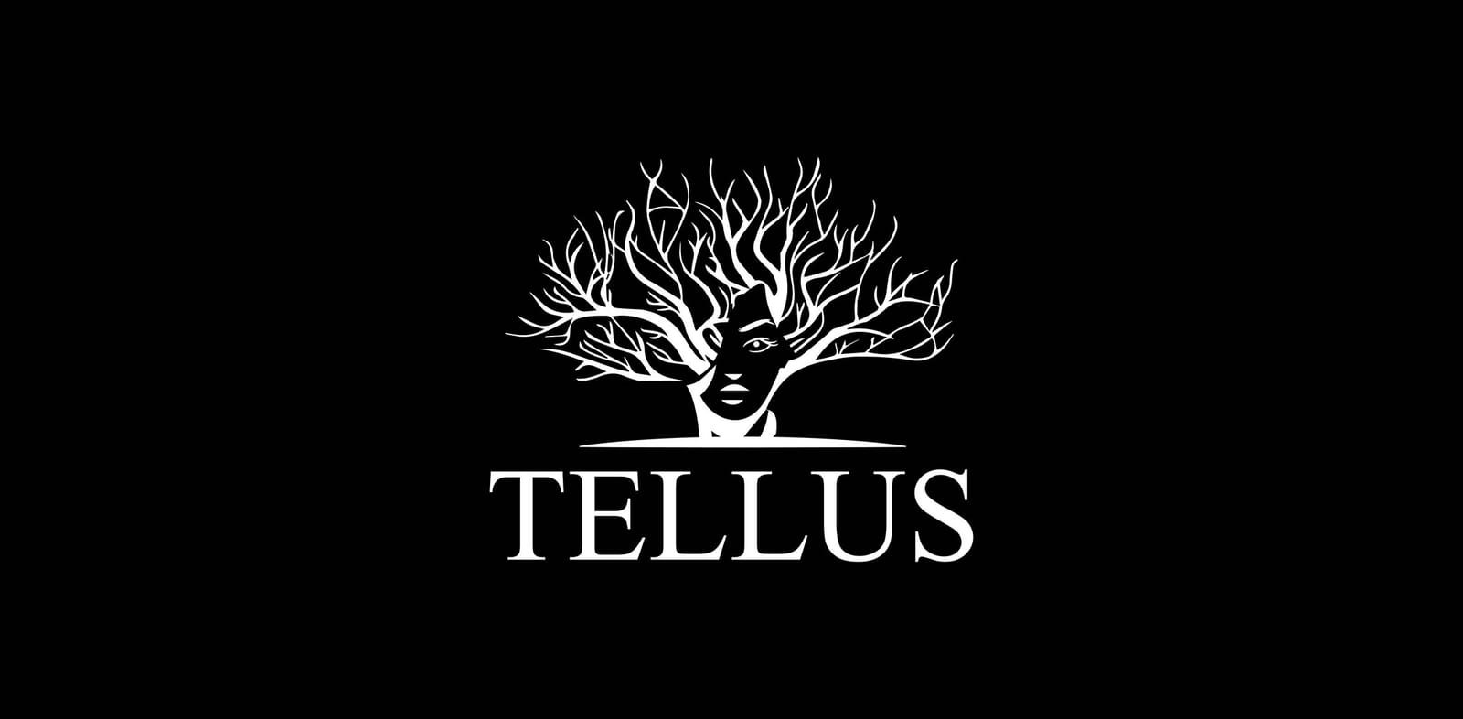 Tellus Coffee photo 2