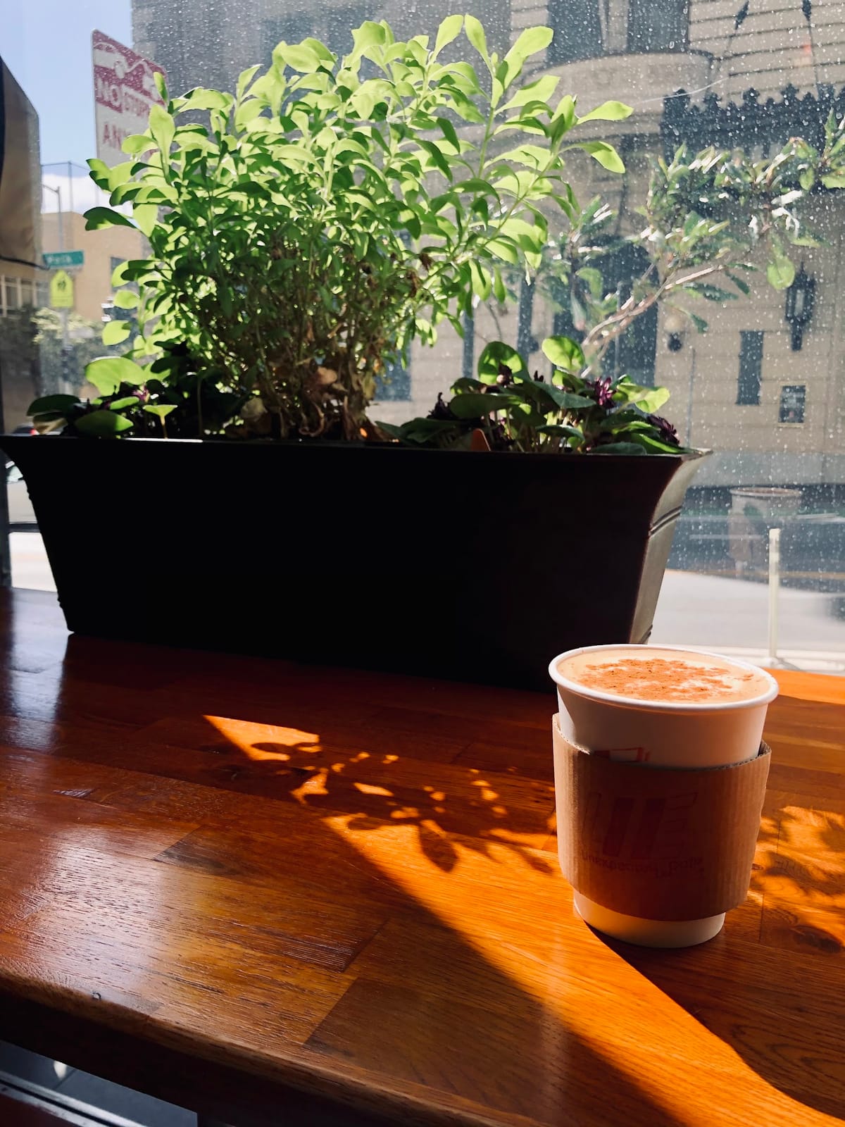 Unexpected Era Cafe