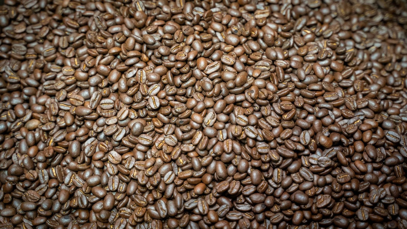 Vasquez Coffee Company photo 2