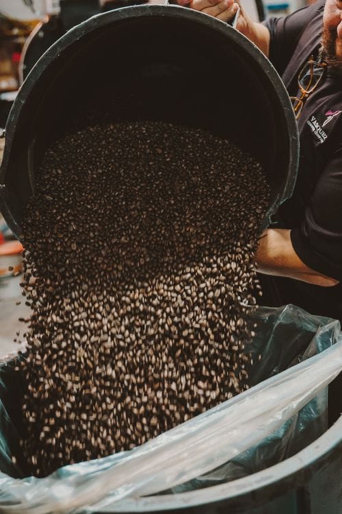 Vasquez Coffee Company photo 8