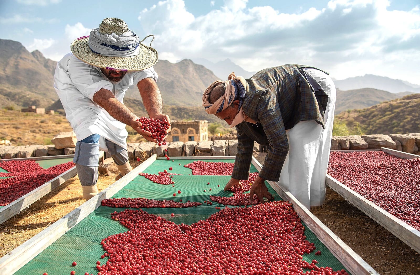 Qamaria Yemeni Coffee photo 3