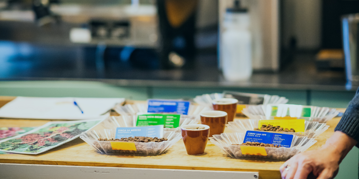 Chocolate Fish Coffee Roasters photo 3