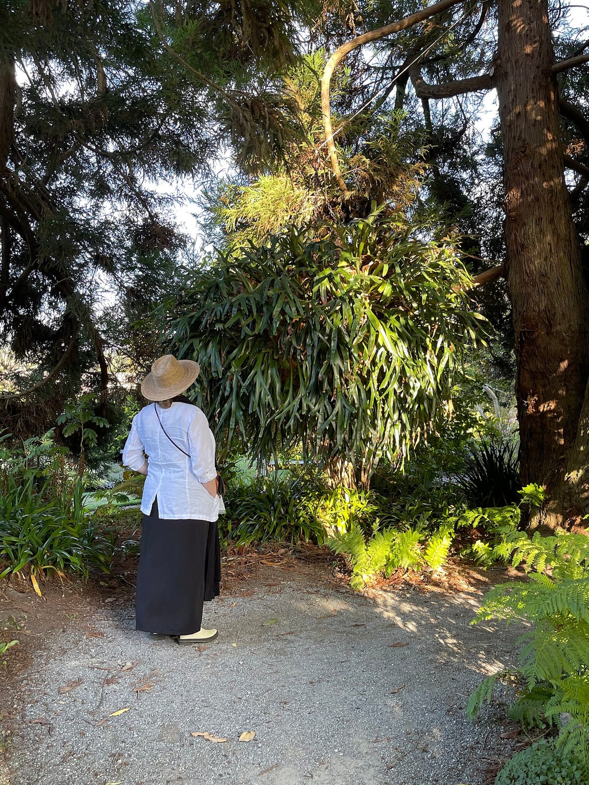 Rhody's Garden Cafe photo 2