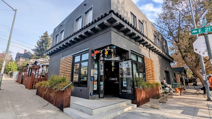 Xochi the Dog Cafe