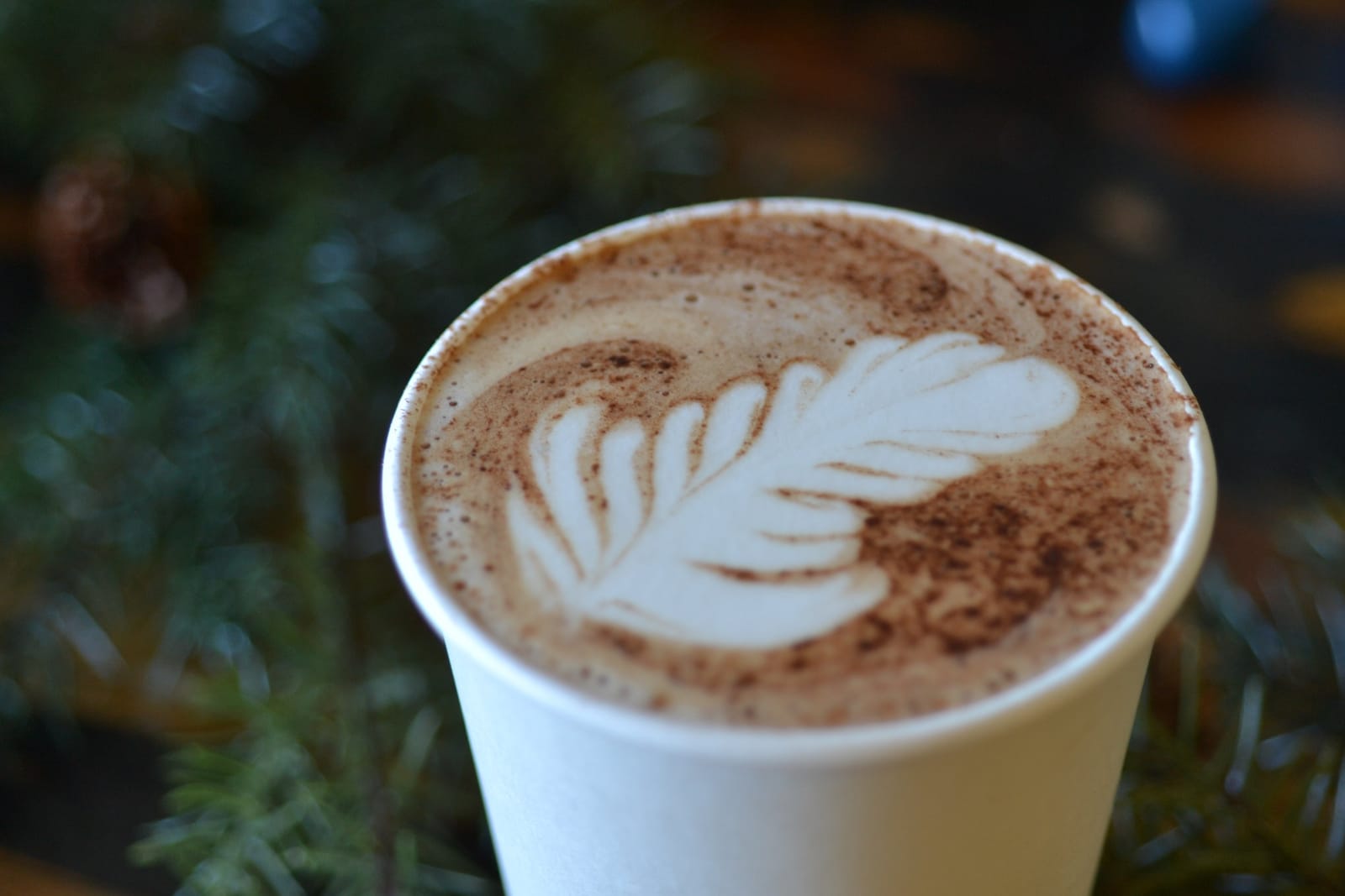 Catahoula Coffee photo 5